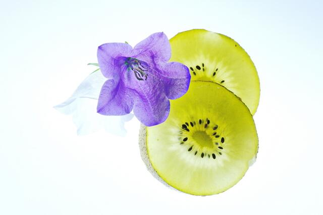 Kiwi Präsi....