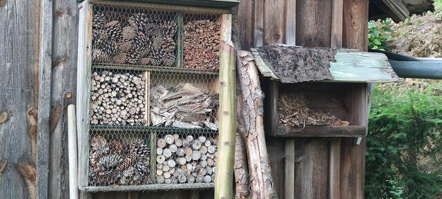 ...dann gibt es noch die "Luxux-Insekten-Ferienwohnungen"...