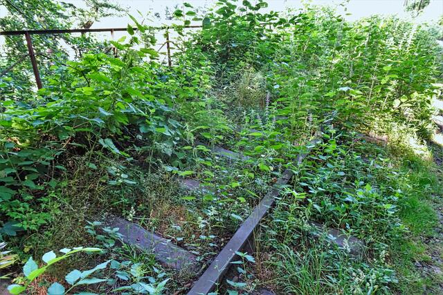 Bahnbrücke über die Ecker