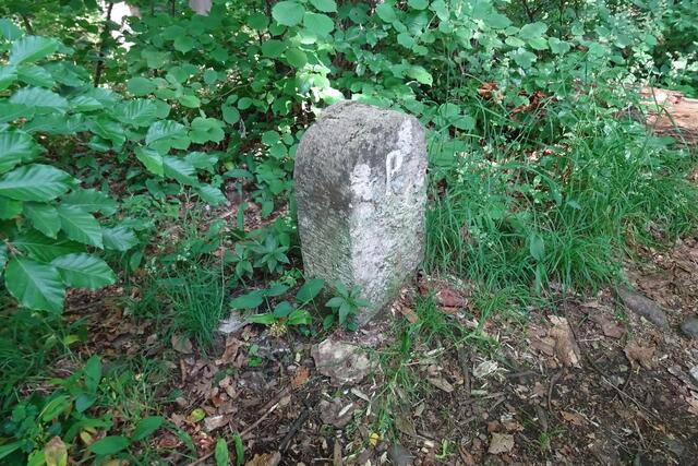 ein alter Grenzstein, das P steht für Preußen, das nicht sichtbare B auf der anderen Seite des Steines steht für Braunschweig