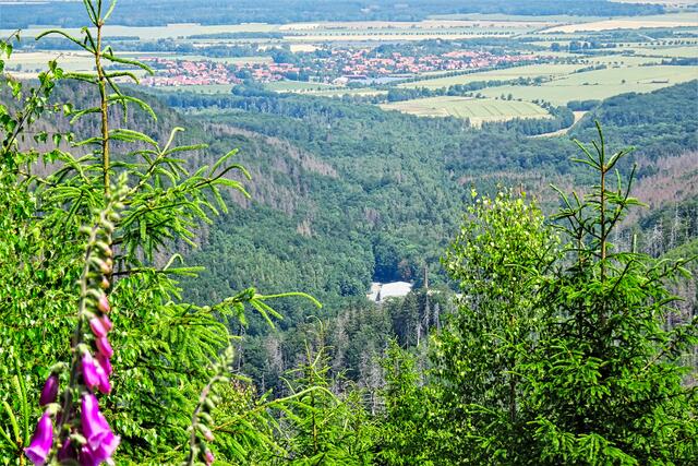 Blick von der Taubenklippe in das Eckertal mit der Papierfabrik, dem Ort Stapelburg und das Harzvorland