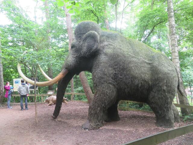 Mammut