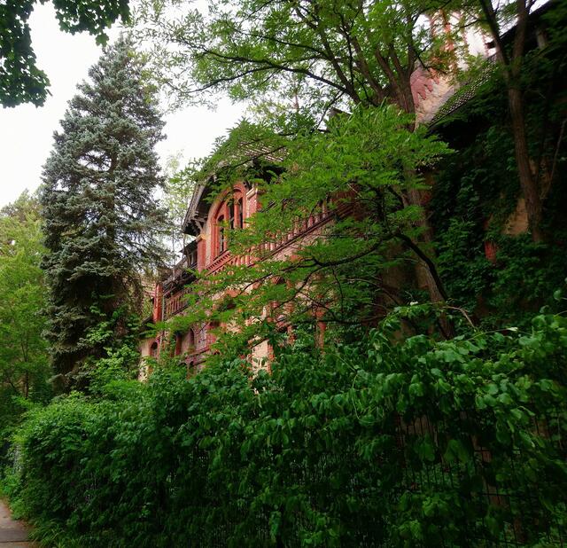 Umwuchert von der Natur