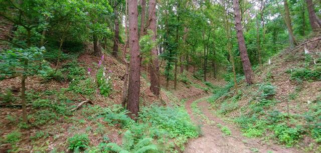 Blick in eine Nebenrummel