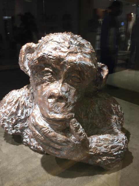 Ein nachdenkliches Äffchen im Schaufenster