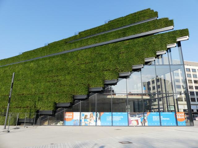 Grüne Fassadenbepflanzung Düsseldorf City