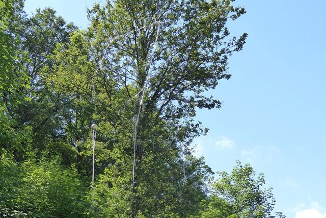 Am Battenberger Kunstweg: Threemoontree in einer Detailansicht.