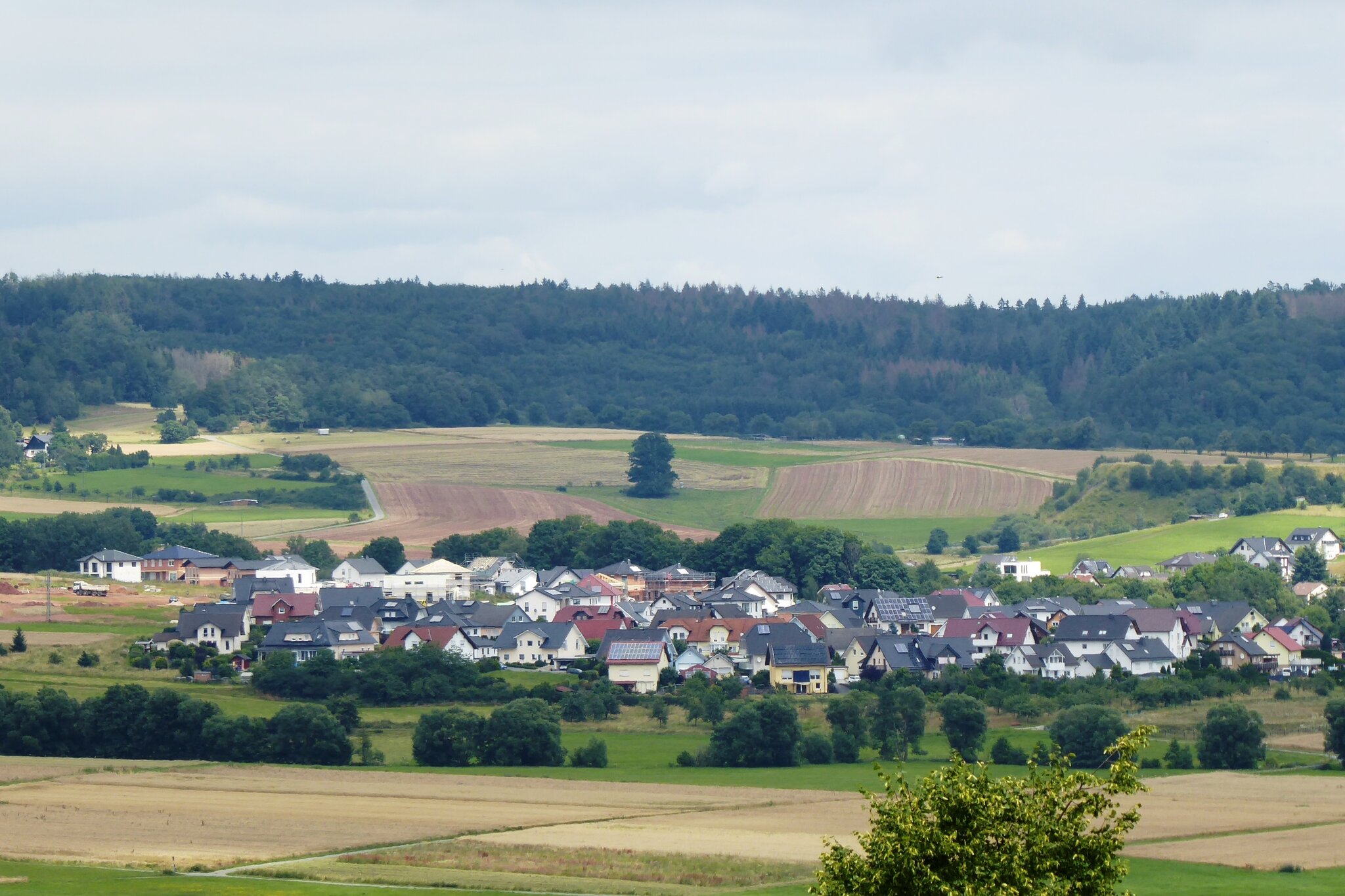 Das Wohngebiet Am Homberg. - Battenberg (Eder)