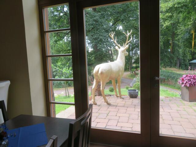 Der Hirsch war hier gut zu sehen.
