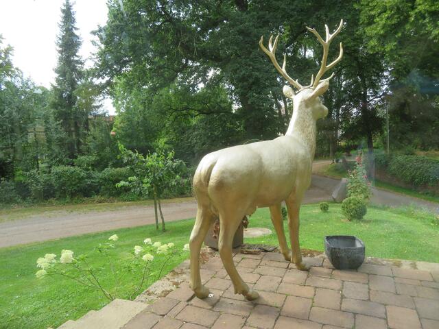 Der Hirsch ohne Haus.