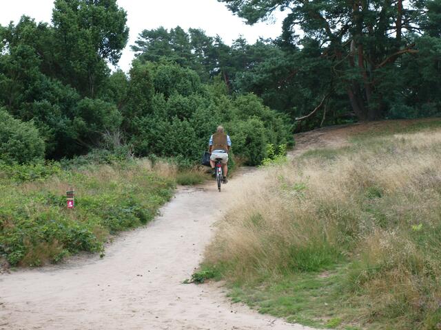 Trottel verbotenerweise mit dem Rad in der Heide