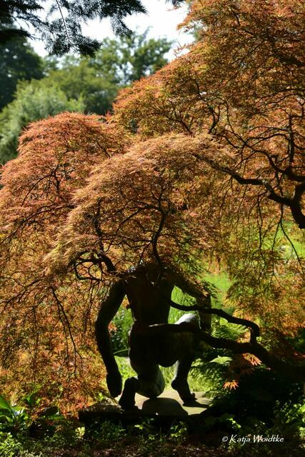 Partie durch den Stadtpark Hannover - "Knieende" von Georg Kolbe (Foto: Katja Woidtke) | Foto: Katja Woidtke