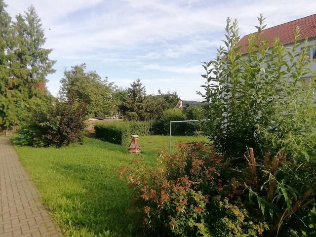 Sommerflieder - ﻿Temperaturen :Nachts 15,3 Grad / 10:41 h. 21,6 Grad / Nachmittags: 24,4 Grad     8.8.2021 !!! Sonntagsbilder 2021 !!!