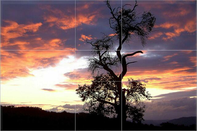 Der Baum