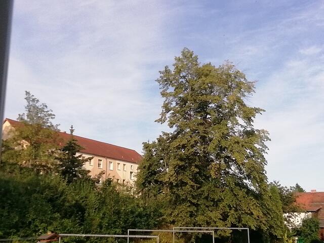 ﻿Temperaturen :Nachts 15,3 Grad / 10:41 h. 21,6 Grad / Nachmittags: 24,4 Grad     8.8.2021 !!! Sonntagsbilder 2021 !!!