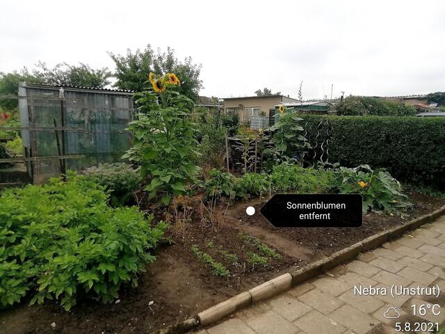 ﻿Gartenschau - Temperaturen :Nachts 15,3 Grad / 10:41 h. 21,6 Grad / Nachmittags: 24,4 Grad     8.8.2021 !!! Sonntagsbilder 2021 !!!
