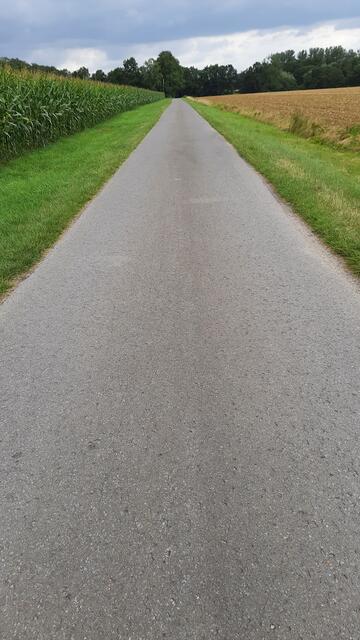 SO sollen Radwege sein ... ;-)