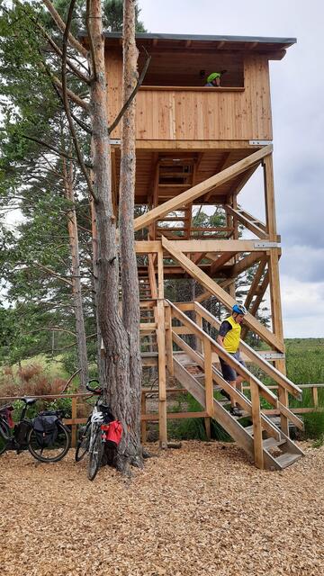 Der NEUE Aussichtsturm im Bissendorfer Moor