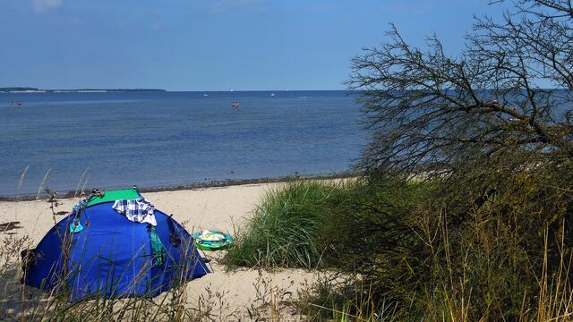 Strandmuschel an der abgelegenen Badestelle. Foto: Helmut Kuzina