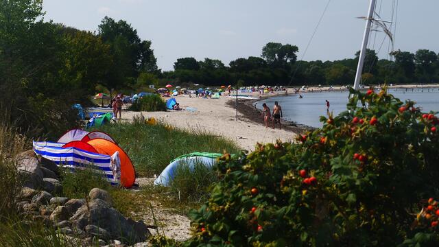 Am sonnigen Strand der Ostseebucht sorgen viele bunte Strandmuscheln und Sonnenschirme für Schatten. Foto: Helmut Kuzina