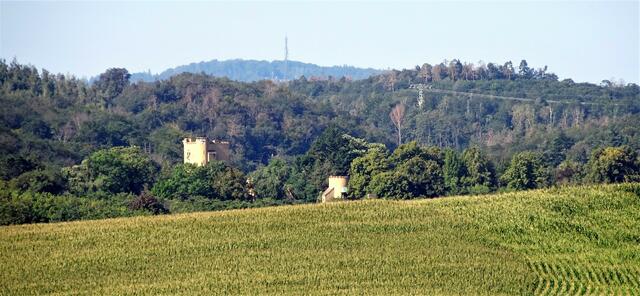 ein etwas anderer Blick auf die Roseburg, das ostdeutsche Märchenschloss.  Im Hintergrund der Ramberg im Ostharz