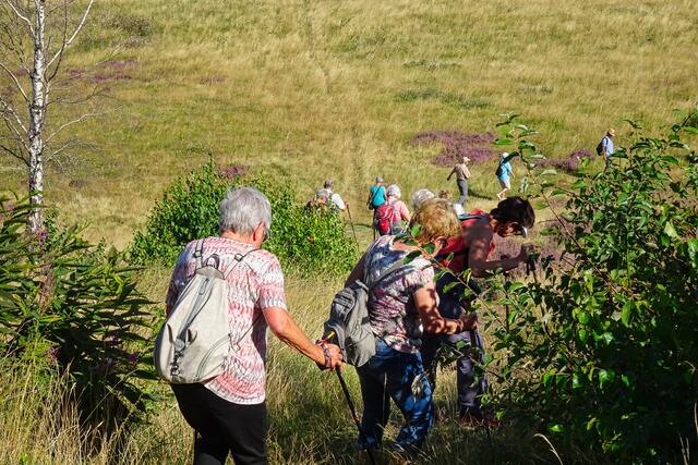 hier geht hinunter auf den, unterhalb der Gegensteine, befindlichen Wanderweg