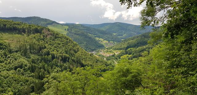 Blick in der Nähe der Todtnauer Wasserfälle
