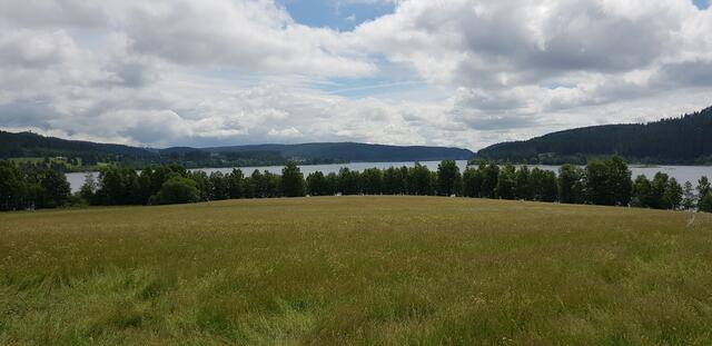 Blick vom Unterkrummenhof zum See