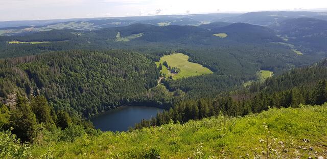 Blick vom Feldberg