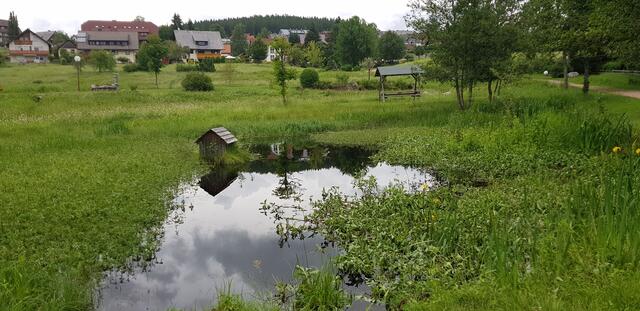 Park im Ort Schluchsee