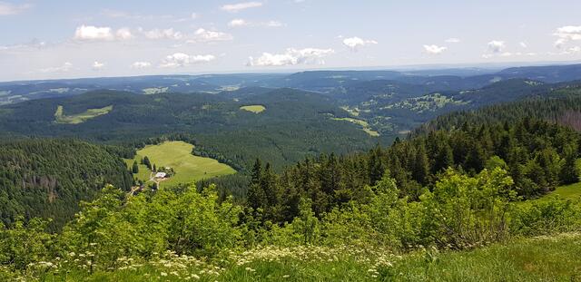 Blick vom Feldberg