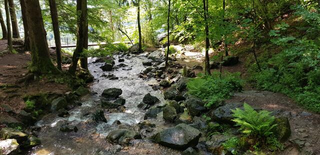 Todtnauer Wasserfälle