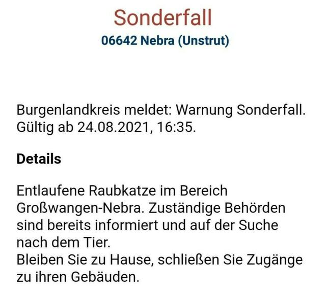 Unglaublich aber wahr nach dem Krokodil in der Unstrut ist jetzt ein Leopard im Unstruttal unterwegs !