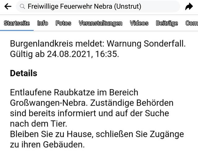 Unglaublich aber wahr nach dem Krokodil in der Unstrut ist jetzt ein Leopard im Unstruttal unterwegs !