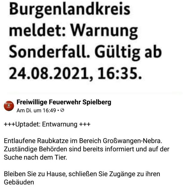 Unglaublich aber wahr nach dem Krokodil in der Unstrut ist jetzt ein Leopard im Unstruttal unterwegs !
