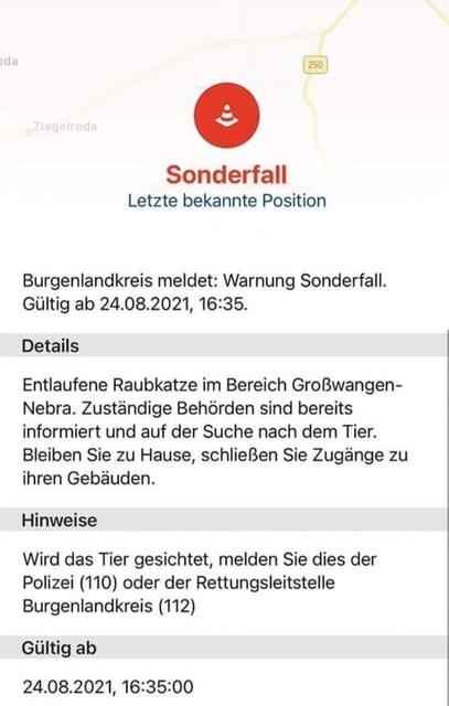 Unglaublich aber wahr nach dem Krokodil in der Unstrut ist jetzt ein Leopard im Unstruttal unterwegs !