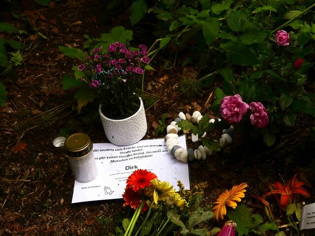 Blumen für Dirk, der auch zu Lebzeiten hin und wieder einen Topf Blumen neben seiner Bank stehen hatte.