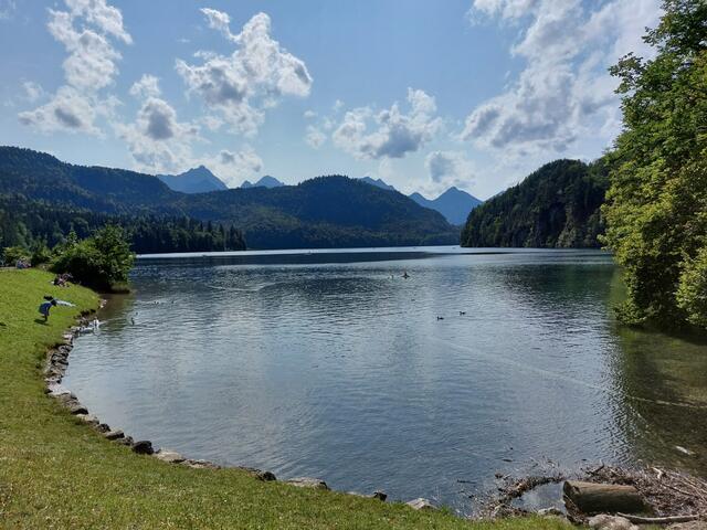 Alpsee