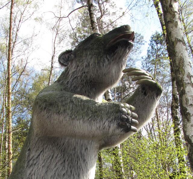 Wo der Mensch auch hinkam und Neuland besiedelte, verschwanden Tierarten von der Bildfläche des Lebens. Auch dieses amerikanische Riesenfaultier, so schwer wie ein Elefant. Es war träge und hatte keine Chance, dem Jäger zu entkommen.