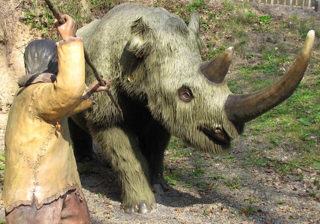 Früher wurden Tiere vom Menschen aus Nahrungs- und Überlebensgründen ausgerottet. Von Nachhaltigkeit war noch nichts bekannt.