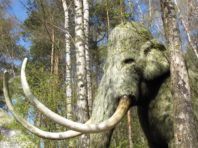Viele Tierarten sind, bedingt durch Magmaausbrüche, Meteoriteneinschläge oder Klimaveränderungen, ausgestorben.