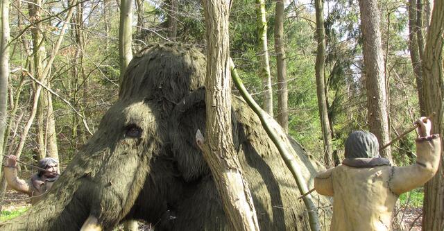 Das Mammut aber wahrscheinlich durch den Menschen.
