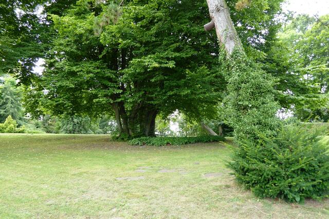 Im Schlosspark.