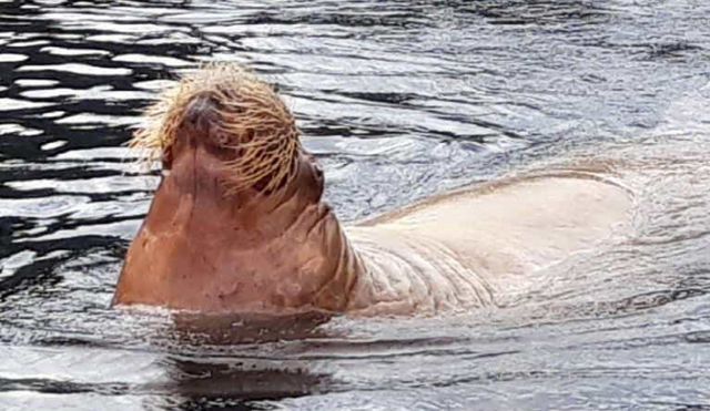 Foto: Fotos Marianne G.