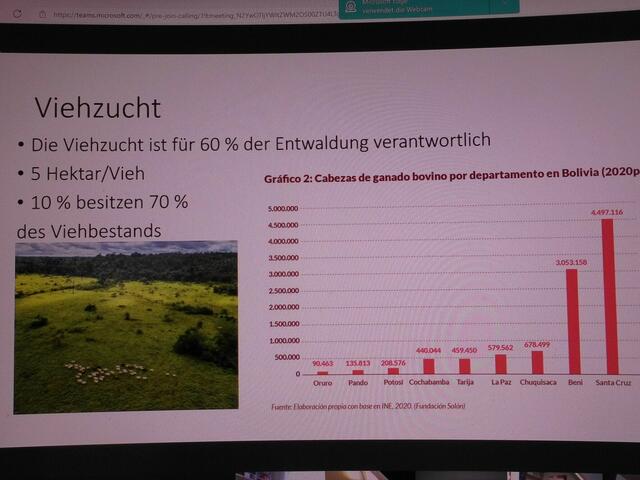 . . . die Entwicklung der Viehzucht in Bolivien . . .