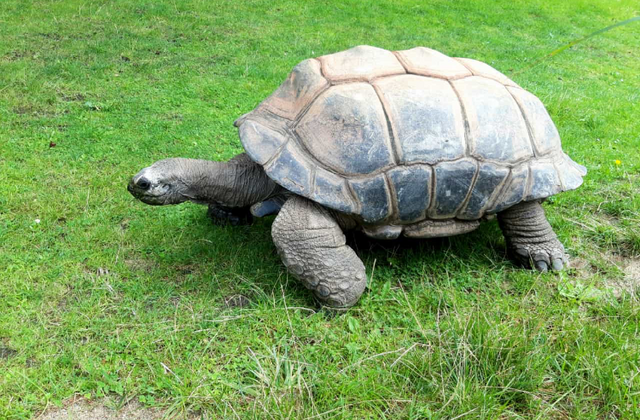 Foto: Fotos Marianne G.