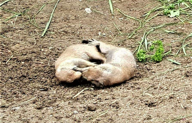 Foto: Fotos Marianne G.