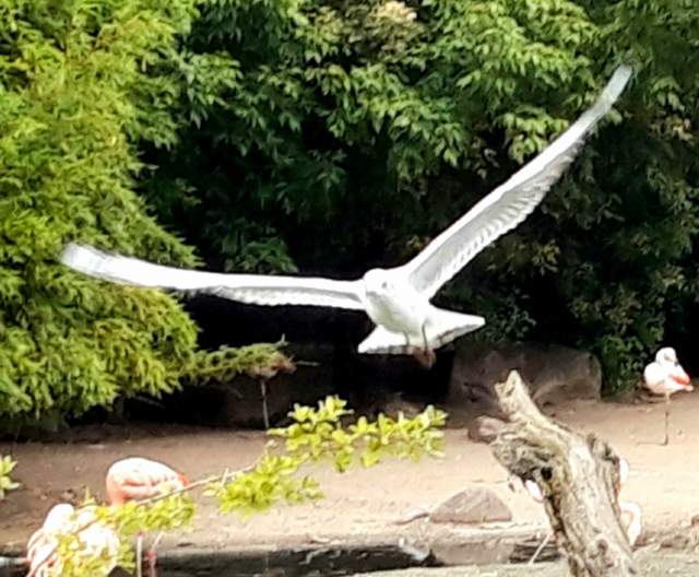 Foto: Fotos Marianne G.