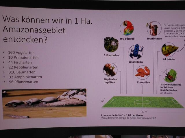 . . . dieses gibt es im Amazonasgebiet zu entdecken . . .
