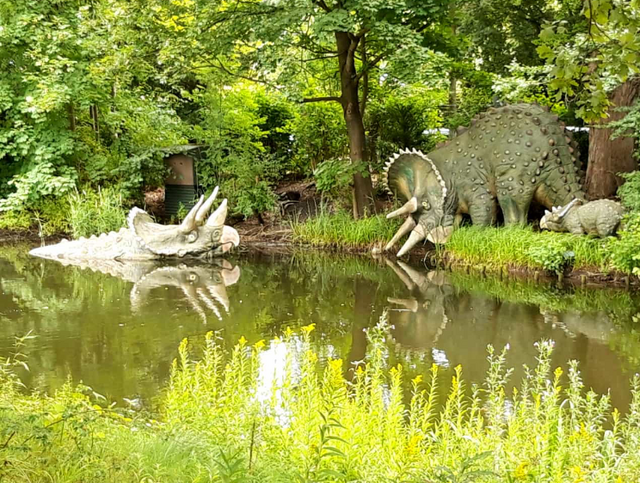 Foto: Fotos Marianne G.